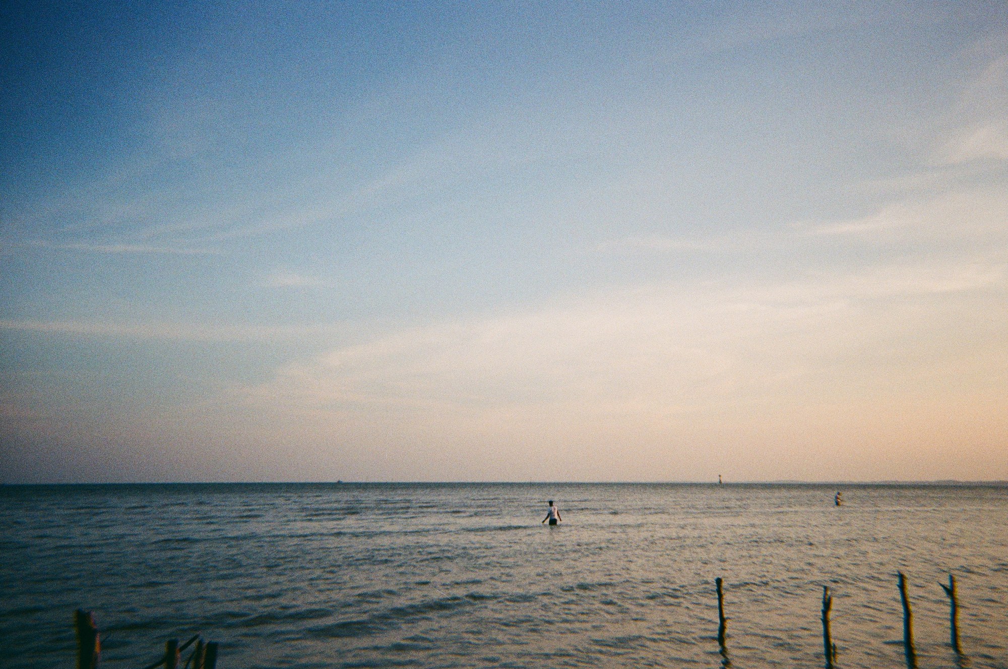 A lone swimmer in a calm sea at dusk under a wide pastel sky
